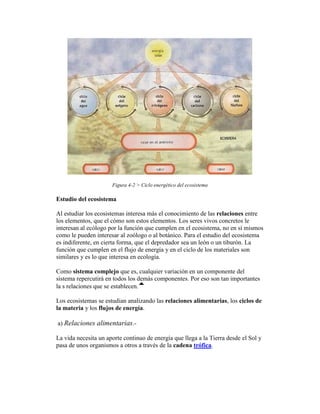 Figura 4-2 > Ciclo energético del ecosistema

Estudio del ecosistema

Al estudiar los ecosistemas interesa más el conocimiento de las relaciones entre
los elementos, que el cómo son estos elementos. Los seres vivos concretos le
interesan al ecólogo por la función que cumplen en el ecosistema, no en sí mismos
como le pueden interesar al zoólogo o al botánico. Para el estudio del ecosistema
es indiferente, en cierta forma, que el depredador sea un león o un tiburón. La
función que cumplen en el flujo de energía y en el ciclo de los materiales son
similares y es lo que interesa en ecología.

Como sistema complejo que es, cualquier variación en un componente del
sistema repercutirá en todos los demás componentes. Por eso son tan importantes
la s relaciones que se establecen.

Los ecosistemas se estudian analizando las relaciones alimentarias, los ciclos de
la materia y los flujos de energía.

a) Relaciones alimentarias.-

La vida necesita un aporte continuo de energía que llega a la Tierra desde el Sol y
pasa de unos organismos a otros a través de la cadena trófica.
 