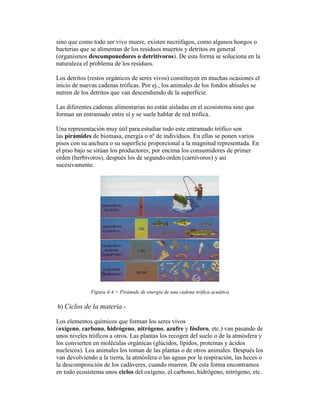 sino que como todo ser vivo muere, existen necrófagos, como algunos hongos o
bacterias que se alimentan de los residuos muertos y detritos en general
(organismos descomponedores o detritívoros). De esta forma se soluciona en la
naturaleza el problema de los residuos.

Los detritos (restos orgánicos de seres vivos) constituyen en muchas ocasiones el
inicio de nuevas cadenas tróficas. Por ej., los animales de los fondos abisales se
nutren de los detritos que van descendiendo de la superficie.

Las diferentes cadenas alimentarias no están aisladas en el ecosistema sino que
forman un entramado entre sí y se suele hablar de red trófica.

Una representación muy útil para estudiar todo este entramado trófico son
las pirámides de biomasa, energía o nº de individuos. En ellas se ponen varios
pisos con su anchura o su superficie proporcional a la magnitud representada. En
el piso bajo se sitúan los productores; por encima los consumidores de primer
orden (herbívoros), después los de segundo orden (carnívoros) y así
sucesivamente.




              Figura 4-4 > Pirámide de energía de una cadena trófica acuática

b) Ciclos de la materia.-

Los elementos químicos que forman los seres vivos
(oxígeno, carbono, hidrógeno, nitrógeno, azufre y fósforo, etc.) van pasando de
unos niveles tróficos a otros. Las plantas los recogen del suelo o de la atmósfera y
los convierten en moléculas orgánicas (glúcidos, lípidos, proteínas y ácidos
nucleicos). Los animales los toman de las plantas o de otros animales. Después los
van devolviendo a la tierra, la atmósfera o las aguas por la respiración, las heces o
la descomposición de los cadáveres, cuando mueren. De esta forma encontramos
en todo ecosistema unos ciclos del oxígeno, el carbono, hidrógeno, nitrógeno, etc.
 