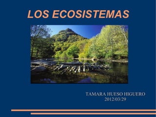 LOS ECOSISTEMAS




        TAMARA HUESO HIGUERO
              2012/03/29
 