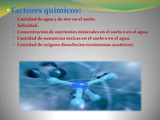  Cantidad de agua y de aire en el suelo.
 Salinidad.
 Concentración de nutrientes minerales en el suelo o en el agua.
 Cantidad de sustancias toxicas en el suelo o en el agua.
 Cantidad de oxigeno disuelto(en ecosistemas acuáticos).
 