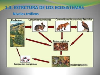 -Función de regulación: La capacidad -natural y semi-
natural- de los ecosistemas para regular el proceso
ecológico y el s...