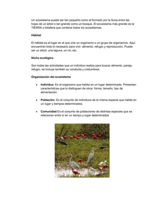 Un ecosistema puede ser tan pequeño como el formado por la lluvia entre las
hojas de un árbol o tan grande como un bosque. El ecosistema más grande es la
TIERRA o biósfera que contiene todos los ecosistemas.

Hábitat

El hábitat es el lugar en el que vive un organismo o un grupo de organismos. Aquí
encuentran todo lo necesario para vivir: alimento, refugio y reproducción. Puede
ser un árbol, una laguna, un rio, etc.

Nicho ecológico

Son todas las actividades que un individuo realiza para buscar alimento, pareja,
refugio, se incluye también su conducta y costumbres.

Organización del ecosistema

       Individuo: Es el organismo que habita en un lugar determinado. Presentan
       características que lo distinguen de otros: forma, tamaño, tipo de
       alimentación.

       Población: Es el conjunto de individuos de la misma especie que habita en
       un lugar y tiempos determinados.

       Comunidad:Es el conjunto de poblaciones de distintas especies que se
       relacionan entre sí en un tiempo y lugar determinados
 