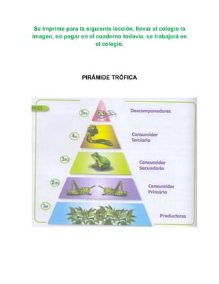Se imprime para la siguiente lección, llevar al colegio la
imagen, no pegar en el cuaderno todavía, se trabajará en
                       el colegio.




                   PIRÁMIDE TRÓFICA
 