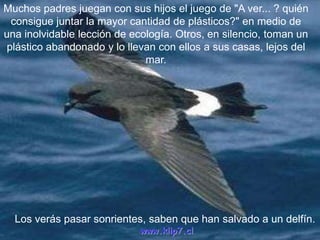 Muchos padres juegan con sus hijos el juego de "A ver... ? quién
  consigue juntar la mayor cantidad de plásticos?" en medio de
una inolvidable lección de ecología. Otros, en silencio, toman un
 plástico abandonado y lo llevan con ellos a sus casas, lejos del
                              mar.




  Los verás pasar sonrientes, saben que han salvado a un delfín.
                             www.klip7.cl
 
