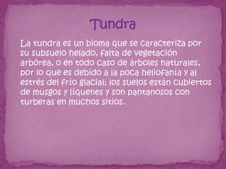  La tundra es un bioma que se caracteriza por
 su subsuelo helado, falta de vegetación
 arbórea, o en todo caso de árboles naturales,
 por lo que es debido a la poca heliofanía y al
 estrés del frío glacial; los suelos están cubiertos
 de musgos y líquenes y son pantanosos con
 turberas en muchos sitios.
 