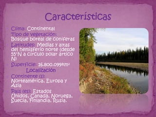  Clima: Continental
 Tipo de vegetación:
    Bosque boreal de coniferas
   Latitudes: Medias y altas
    del hemisferio norte (desde
    55°N a círculo polar ártico
    N)
   Superficie: 16.800.099km²
           Localización
   Continente (s):
    Norteamérica, Europa y
    Asia
   País (es): Estados
    Unidos, Canadá, Noruega,
    Suecia, Finlandia, Rusia.
 