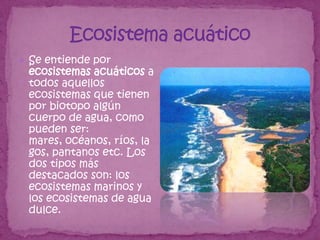  Se entiende por
 ecosistemas acuáticos a
 todos aquellos
 ecosistemas que tienen
 por biotopo algún
 cuerpo de agua, como
 pueden ser:
 mares, océanos, ríos, la
 gos, pantanos etc. Los
 dos tipos más
 destacados son: los
 ecosistemas marinos y
 los ecosistemas de agua
 dulce.
 