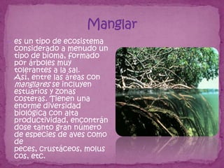  es un tipo de ecosistema
 considerado a menudo un
 tipo de bioma, formado
 por árboles muy
 tolerantes a la sal.
 Así, entre las áreas con
 manglares se incluyen
 estuarios y zonas
 costeras. Tienen una
 enorme diversidad
 biológica con alta
 productividad, encontrán
 dose tanto gran número
 de especies de aves como
 de
 peces, crustáceos, molus
 cos, etc.
 