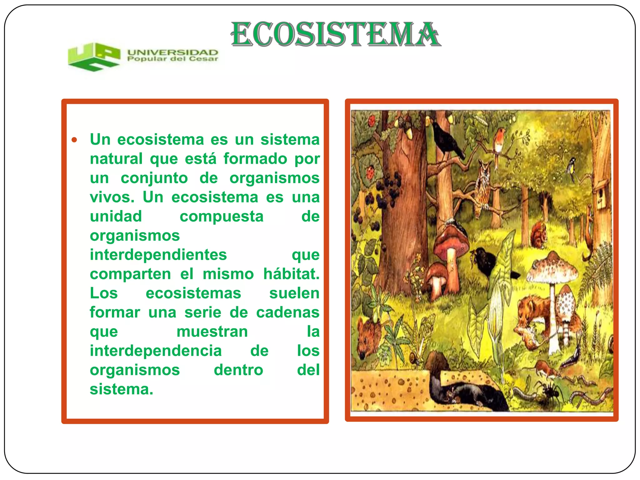 Ecosistema | PPTX