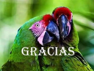 gracias
 