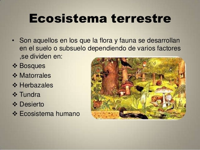 Ecosistema