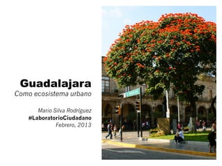 Guadalajara
Como ecosistema urbano

       Mario Silva Rodríguez
    #LaboratorioCiudadano
              Febrero, 2013
 