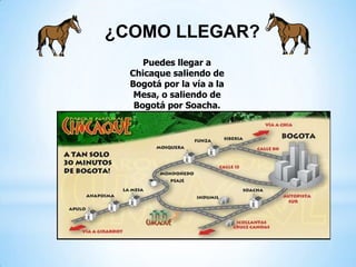 ¿COMO LLEGAR?
Puedes llegar a
Chicaque saliendo de
Bogotá por la vía a la
Mesa, o saliendo de
Bogotá por Soacha.
 