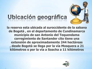 la reserva esta ubicada al suroccidente de la sabana
de Bogotá , en el departamento de Cundinamarca
municipio de san Antonio del Tequendama
corregimiento de Santander cito tiene una
extensión de aproximadamente 244 hectáreas
, desde Bogotá se llega por la vía Mosquera a 21
kilómetros o por la vía a Soacha a 11 kilómetros
 