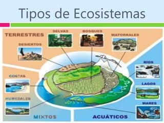 Tipos de Ecosistemas
 