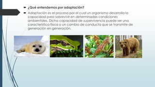  ¿Qué entendemos por adaptación?
 Adaptación es el proceso por el cual un organismo desarrolla la
capacidad para sobrevivir en determinadas condiciones
ambientales. Dicha capacidad de supervivencia puede ser una
característica física o un cambio de conducta que se transmite de
generación en generación.
 