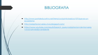 BIBLIOGRAFIA
 http://www.portaleducativo.net/terra/co/quinto-basico/107/que-es-un-
ecosistema
 http://adaptacion-seres-vivos.blogspot.com/
 https://www.youtube.com/results?search_query=adaptacion+de+los+seres
+vivos+al+medio+ambiente
 