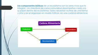 Los componentes bióticos de un ecosistema son los seres vivos que lo
integran. Los miembros de cada comunidad desempeñan cada uno
su papel dentro del ecosistema. Todos necesitan nutrirse de una forma
u otra y así se organizan en niveles tróficos, en una cadena alimenticia
 