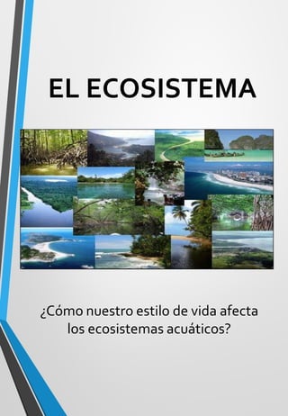 EL ECOSISTEMA
¿Cómo nuestro estilo de vida afecta
los ecosistemas acuáticos?
 