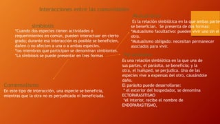 Interacciones entre las comunidades
simbiosis
*Cuando dos especies tienen actividades o
requerimientos en común, pueden interactuar en cierto
grado; durante esa interacción es posible se beneficien,
dañen o no afecten a una o a ambas especies.
*los miembros que participan se denominan simbiontes.
*La simbiosis se puede presentar en tres formas
Mutualismo
Es la relación simbiótica en la que ambas partes
se benefician. Se presenta de dos formas:
*Mutualismo facultativo: pueden vivir uno sin el
otro.
*Mutualismo obligado: necesitan permanecer
asociados para vivir.
Comensalismo
En este tipo de interacción, una especie se beneficia,
mientras que la otra no es perjudicada ni beneficiada.
Parasitismo
Es una relación simbiótica en la que una de
sus partes, el parásito, se beneficia; y la
otra, el huésped, se perjudica. Una de las
especies vive a expensas del otro, causándole
daño.
El parásito puede desarrollarse:
* el exterior del hospedador, se denomina
ECTOPARASITISMO
*el interior, recibe el nombre de
ENDOPARASITISMO,
 