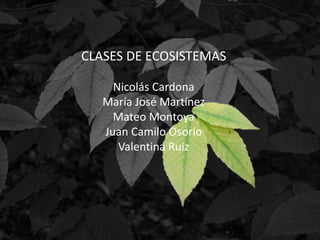CLASES DE ECOSISTEMAS
Nicolás Cardona
María José Martínez
Mateo Montoya
Juan Camilo Osorio
Valentina Ruiz
 