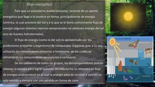 Flujo energético
Para que un ecosistema pueda funcionar, necesita de un aporte
energético que llega a la biosfera en forma, principalmente de energía
lumínica, la cual proviene del Sol y a la que se le llama comúnmente flujo de
energía (algunos sistemas marinos excepcionales no obtienen energía del sol
sino de fuentes hidrotermales).
El flujo de energía (como la del sol) es aprovechado por los
productores primarios u organismos de compuestos orgánicos que, a su vez,
utilizarán los consumidores primarios o herbívoros, de los cuales se
alimentarán los consumidores secundarios o carnívoros.
De los cadáveres de todos los grupos, los descomponedores podrán
obtener la energía para lograr subsistir. De esta forma se obtendrá un flujo
de energía unidireccional en el cual la energía pasa de un nivel a otro en un
solo sentido y siempre con una pérdida en forma de calor.
 