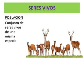 POBLACION
Conjunto de
seres vivos
de una
misma
especie
 