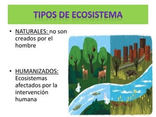 • NATURALES: no son
creados por el
hombre
• HUMANIZADOS:
Ecosistemas
afectados por la
intervención
humana
 