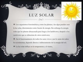 LUZ SOLAR
 Los organismos fotosintéticos, como las plantas y las algas pueden usar
la luz solar, directamente como fuente de energía. Sin embargo la energía
solar que las plantas almacenada pasa luego a los herbívoros, después a los
carnívoros que se alimentan de otros carnívoros.
 Así el funcionamiento de todos los seres vivos y por lo tanto de todos
los ecosistemas, depende directa e indirectamente de la energía del sol.
 La luz solar influye en la temperatura y el viento,
 