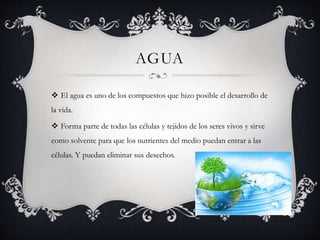 AGUA
 El agua es uno de los compuestos que hizo posible el desarrollo de
la vida.
 Forma parte de todas las células y tejidos de los seres vivos y sirve
como solvente para que los nutrientes del medio puedan entrar a las
células. Y puedan eliminar sus desechos.
 