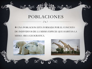 POBLACIONES
 UNA POBLACION ESTA FORMADA POR EL CONUNTO
DE INDIVIDUOS DE LA MISMA ESPECIE QUE HABITAN LA
MISMA AREA GEOGRAFICA.
 