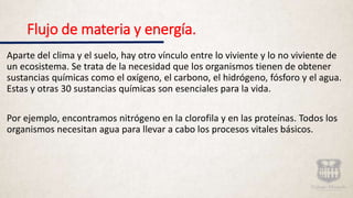 Flujo de materia y energía.
Aparte del clima y el suelo, hay otro vínculo entre lo viviente y lo no viviente de
un ecosistema. Se trata de la necesidad que los organismos tienen de obtener
sustancias químicas como el oxígeno, el carbono, el hidrógeno, fósforo y el agua.
Estas y otras 30 sustancias químicas son esenciales para la vida.
Por ejemplo, encontramos nitrógeno en la clorofila y en las proteínas. Todos los
organismos necesitan agua para llevar a cabo los procesos vitales básicos.
 