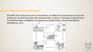 Al hablar de la estructura de un ecosistema, se habla de la estructura en la que las
partes son las distintas clases de componentes, es decir, el biotopo, la biocenosis y
los distintos tipos ecológicos de organismos (productores, descomponedores,
predadores, etc.).
 