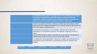Los productores que capturan la energía solar con los cloroplastos de las células
en las hojas. Los productores autótrofos (plantas verdes) son capaces de
transformar sustancias inorgánicas (agua, bióxido de carbono y minerales del
suelo) en compuestos orgánicos (glucosa), mediante la fotosíntesis.
Son los consumidores primarios, protistas y animales que comen algas y plantas;
gastan parte de la energía almacenada en sus reacciones químicas, para correr, ver,
oír, sentir, respirar, reproducirse, etc.
Consumidores secundarios: son los animales y protistas que se alimentan
devorando a los consumidores primarios. Por ejemplo, el tigre que se come la
cebra.
Consumidores terciarios: éstos se alimentan de los secundarios. Por ejemplo, la
serpiente que se come una rana, la cual ha consumido insectos.
Los organismos "descomponedores" (bacterias y hongos), que descomponen los
protoplasmas de los productores y consumidores muertos en sustancias más
simples.
Nivel Trófico 2 Nivel Trófico 4 Nivel Trófico 1 Nivel Trófico 5 Nivel Trófico 3
 