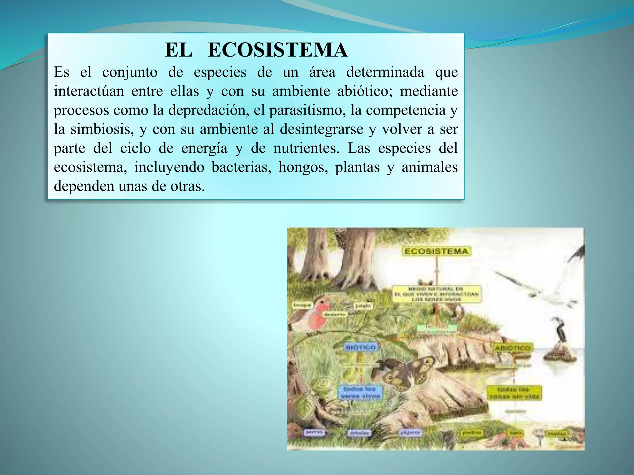 Ecosistema | PPTX