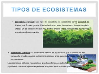  Ecosistema Forestal: Este tipo de ecosistema se caracteriza por la densidad de
árboles o de flora en general. Puede dividirse en selva, bosque seco, bosque templado
y taiga. En los casos en los que hay muchos árboles juntos, la diversidad de especies
animales suele ser muy alta.
 Ecosistema Artificial: El ecosistema artificial es aquél en el que la acción del ser
humano ha creado espacios radicalmente distintos a los que existían hasta hace unos
pocos milenios.
La presencia de edificios, rascacielos y grandes extensiones cubiertas por luces, cemento
y pavimento hace que algunas especies se adapten a estos entornos y otras no
 