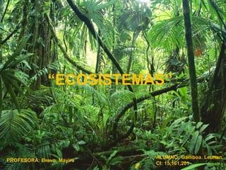 “ECOSISTEMAS”
ALUMNO: Gamboa. Leunan.
CI: 15,161,201
PROFESORA: Bravo. Mayira
 