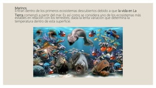 Marinos
Entran dentro de los primeros ecosistemas descubiertos debido a que la vida en La
Tierra comenzó a partir del mar. Es así como se considera uno de los ecosistemas más
estables en relación con los terrestres; dada la lenta variación que determina la
temperatura dentro de esta superficie.
 