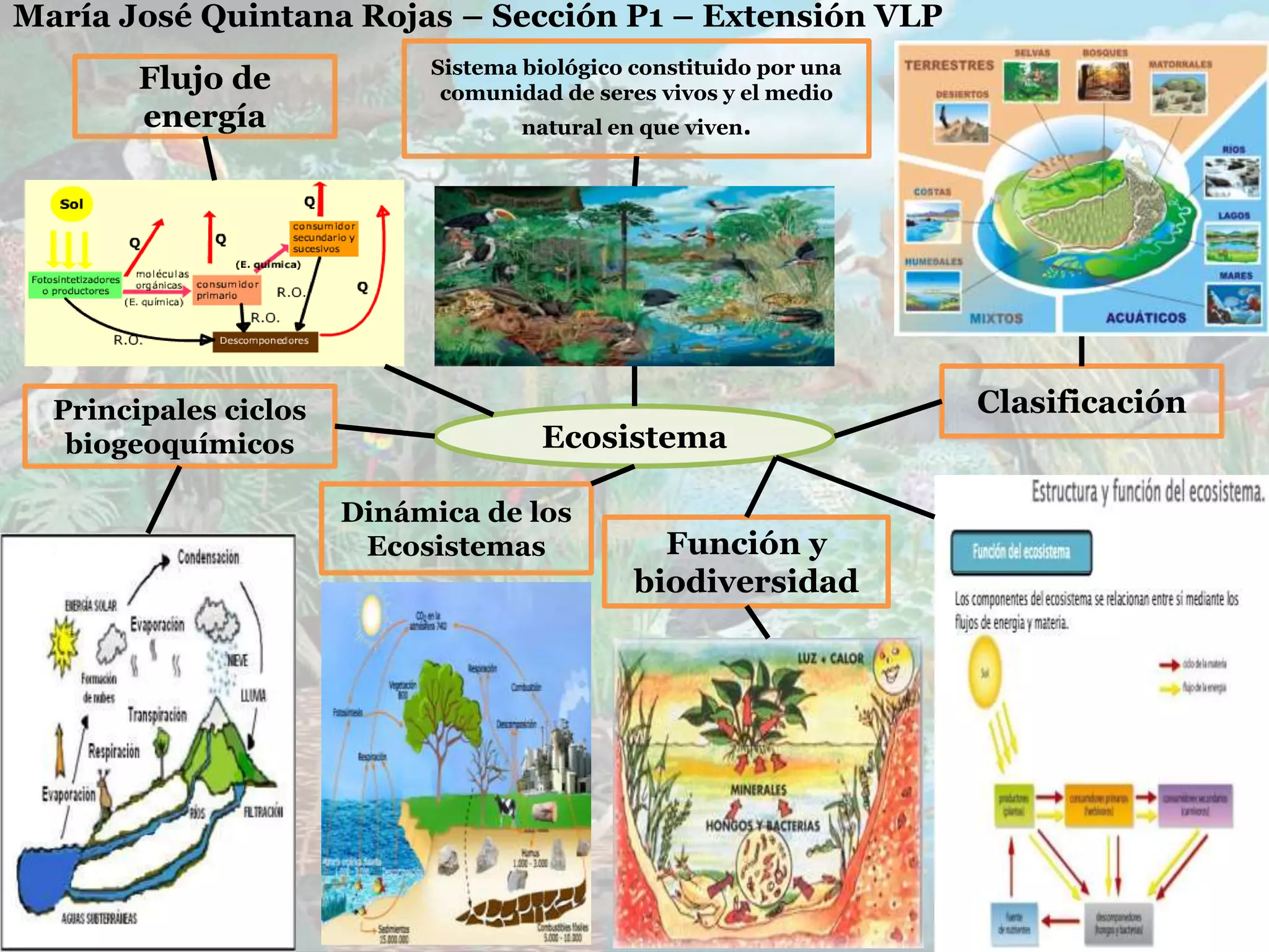 Ecosistema | PPTX