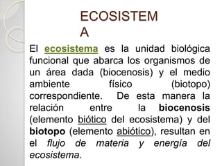 ECOSISTEM
A
El ecosistema es la unidad biológica
funcional que abarca los organismos de
un área dada (biocenosis) y el medio
ambiente físico (biotopo)
correspondiente. De esta manera la
relación entre la biocenosis
(elemento biótico del ecosistema) y del
biotopo (elemento abiótico), resultan en
el flujo de materia y energía del
ecosistema.
 