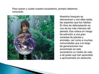 Para querer y cuidar nuestro ecosistema, primero debemos
conocerla.
Nuestros bosques se
desvanecen y con ellos todas
las especies que los habitan.
El ritmo de deforestación es
uno de los más intensos del
planeta. Eso coloca en riesgo
de extinción a una gran
variedad de plantas y
animales, así como a muchas
comunidades que a lo largo
de generaciones han
encontrado en este
ecosistema un medio de vida,
a tal grado que han aprendido
a aprovecharlo sin destruirlo.
 