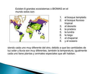 Existen 8 grandes ecosistemas o BIOMAS en el
mundo estos son:
siendo cada uno muy diferente del otro, debido a que las cantidades de
luz solar y lluvia son muy diferentes, también la temperatura, igualmente
cada uno tiene plantas y animales especiales que allí habitan.
1. el bosque templado
2. el bosque lluvioso
tropical
3. el desierto
4. la pradera
5. la tundra
6. la taiga
7. el chaparral
8. y el oceano
 