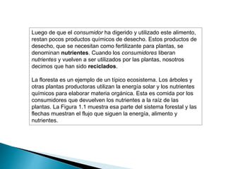 Luego de que el consumidor ha digerido y utilizado este alimento,
restan pocos productos químicos de desecho. Estos productos de
desecho, que se necesitan como fertilizante para plantas, se
denominan nutrientes. Cuando los consumidores liberan
nutrientes y vuelven a ser utilizados por las plantas, nosotros
decimos que han sido reciclados.
La floresta es un ejemplo de un típico ecosistema. Los árboles y
otras plantas productoras utilizan la energía solar y los nutrientes
químicos para elaborar materia orgánica. Esta es comida por los
consumidores que devuelven los nutrientes a la raíz de las
plantas. La Figura 1.1 muestra esa parte del sistema forestal y las
flechas muestran el flujo que siguen la energía, alimento y
nutrientes.
 