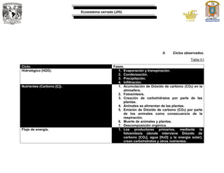 Ecosistema cerrado (JHI).
II. Ciclos observados.
Tabla II.I
Ciclo. Fases.
Hidrológico (H2O). 1. Evaporación y transpiración.
2. Condensación.
3. Precipitación.
4. Infiltración.
Nutrientes (Carbono [C]). 1. Acumulación de Dióxido de carbono (CO2) en la
atmosfera.
2. Fotosíntesis.
3. Creación de carbohidratos por parte de las
plantas.
4. Animales se alimentan de las plantas.
5. Emisión de Dióxido de carbono (CO2) por parte
de los animales como consecuencia de la
respiración.
6. Muerte de animales y plantas.
7. Descomposición orgánica.
Flujo de energía. 1. Los productores primarios, mediante la
fotosíntesis (donde interviene Dióxido de
carbono [CO2], agua [H2O] y la energía solar),
crean carbohidratos y otros nutrientes.
 