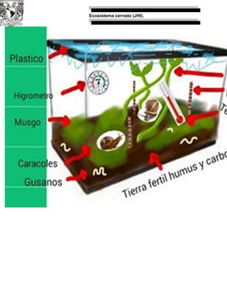 Ecosistema cerrado (JHI).
 