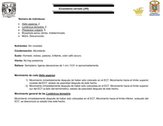 Ecosistema cerrado (JHI).
Número de individuos:
 Helix aspersa. 2
 Lumbricus terrestris. 5
 Phaseolus vulgaris. 6
 Bryophyta sensu stricto. Indeterminado.
 Moho. Desconocido.
Nutrientes: Sin novedad.
Condensación: Abundante.
Suelo: Húmedo, lodoso, pastoso, brillante, color café oscuro.
Viento: No hay presencia.
Relieve: Semiplano, ligeras elevaciones de 1 cm / 0.01 m aproximadamente.
Movimiento de cada Helix aspersa:
1) Movimiento inmediatamente después de haber sido colocado en el EC7. Movimiento hacia el límite superior
noreste del EC7, estado de pasividad después de este hecho.
2) Movimiento inmediatamente después de haber sido colocadas en el EC7. Movimiento hacia el límite superior
sur del EC7 (a lado del termómetro), estado de pasividad después de este hecho.
Movimiento general de las Lumbricus terrestris:
Movimiento inmediatamente después de haber sido colocadas en el EC7. Movimiento hacia el límite inferior, subsuelo del
EC7, se desconoce su estado tras este hecho.
 