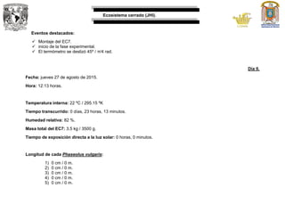 Ecosistema cerrado (JHI).
Eventos destacados:
 Montaje del EC7.
 inicio de la fase experimental.
 El termómetro se deslizó 45º / π/4 rad.
Día II.
Fecha: jueves 27 de agosto de 2015.
Hora: 12:13 horas.
Temperatura interna: 22 ºC / 295.15 ºK
Tiempo transcurrido: 0 días, 23 horas, 13 minutos.
Humedad relativa: 82 %.
Masa total del EC7: 3.5 kg / 3500 g.
Tiempo de exposición directa a la luz solar: 0 horas, 0 minutos.
Longitud de cada Phaseolus vulgaris:
1) 0 cm / 0 m.
2) 0 cm / 0 m.
3) 0 cm / 0 m.
4) 0 cm / 0 m.
5) 0 cm / 0 m.
 