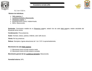 Ecosistema cerrado (JHI).
6) 2 cm / 0.02 m.
Número de individuos:
 Helix aspersa. 2
 Lumbricus terrestris. Desconocido.
 Phaseolus vulgaris. 1.
 Bryophyta sensu stricto. Indeterminado.
 Moho. Desconocido.
Nutrientes. Crecimiento notable de un Phaseolus vulgaris, estado vivo de cada Helix aspersa, estado saludable del
Bryophyta sensu stricto.
Condensación. Poca presencia.
Suelo: Húmedo, lodoso, pastoso, brillante, color café oscuro.
Viento: No hay presencia.
Relieve: Semiplano, ligeras elevaciones de 1 cm / 0.01 m aproximadamente.
Movimiento de cada Helix aspersa.
1) Movimiento hacía el límite superior oeste.
2) Movimiento hacía el límite superior suroeste.
Movimiento general de las Lumbricus terrestris: Desconocido.
Humedad externa: 54%.
 