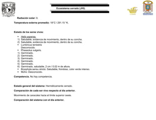 Ecosistema cerrado (JHI).
Radiación solar: 9.
Temperatura externa promedio: 18°C / 291.15 °K.
Estado de los seres vivos:
 Helix aspersa.
1) Saludable, evidencia de movimiento, dentro de su concha.
2) Saludable, evidencia de movimiento, dentro de su concha.
 Lumbricus terrestris
Desconocido.
 Phaseolus vulgaris.
1) Germinado.
2) Germinado.
3) Germinado.
4) Germinado.
5) Germinado.
6) Germinado, saludable, 2 cm / 0.02 m de altura.
 Bryophyta sensu stricto: Saludable, frondoso, color verde intenso.
 Moho: Desconocido.
Competencia. No hay competencia.
Estado general del sistema: Herméticamente cerrado.
Comparación de cada ser vivo respecto al día anterior.
Movimiento de caracoles hacia el límite superior oeste.
Comparación del sistema con el día anterior.
 