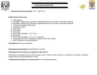 Ecosistema cerrado (JHI).
Temperatura externa promedio: 15°C / 288.15 °K.
Estado de los seres vivos:
 Helix aspersa.
1) Saludable, evidencia de movimiento, parcialmente fuera de su concha, crecimiento aparente.
2) Saludable, evidencia de movimiento, parcialmente fuera de su concha, crecimiento aparente.
 Lumbricus terrestris: Desconocido.
 Phaseolus vulgaris.
1) Germinado.
2) Germinado.
3) Germinado.
4) Germinado, saludable, 1 cm / 0.01 m.
5) Germinado.
6) Germinado, saludable, 11 cm / 0.11 m de altura.
 Bryophyta sensu stricto: Saludable, frondoso, color verde intenso.
 Moho: Presencia en la regla métrica 2.
Competencia: No hay competencia.
Estado general del sistema: Herméticamente cerrado.
Comparación de los seres vivos respecto al día anterior:
Movimiento de caracoles hacía el límite superior norte y hacía el límite superior sur, aparición de hongos, crecimiento
exponencial de un frijol, aparición de un frijol.
Comparación del sistema con el día anterior: Sin cambios destacados.
 